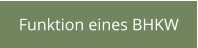 Funktion eines BHKW
